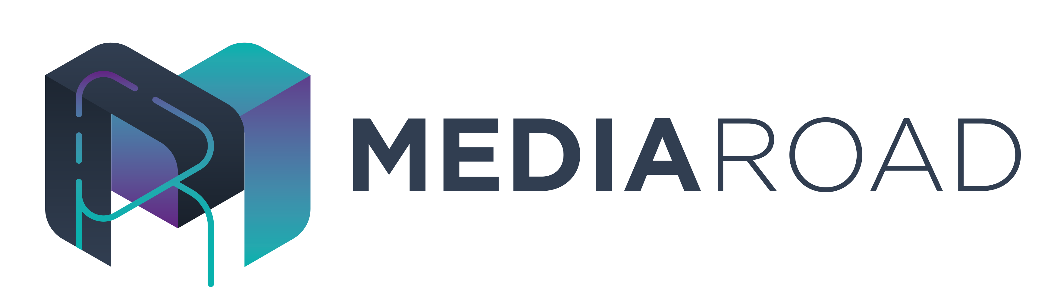 00_logo_MediaRoad_STANDARD_HORIZONTAL.png